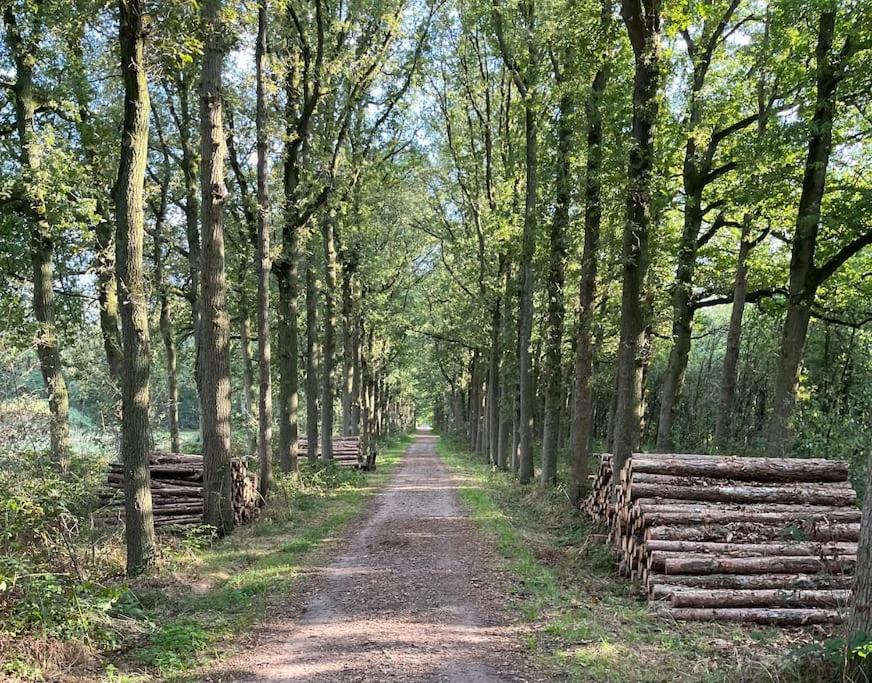 Sfeervol Familielandhuis In De Groene Kempen Baarle-Hertog Exteriör bild